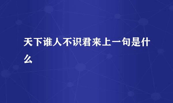 天下谁人不识君来上一句是什么