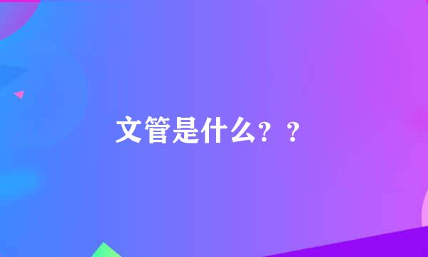 文管是什么？？