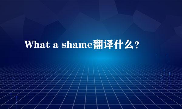 What a shame翻译什么？