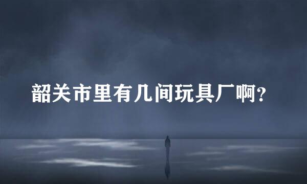 韶关市里有几间玩具厂啊？