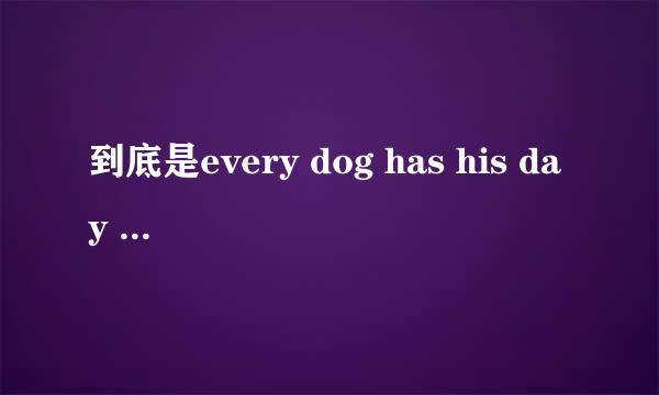 到底是every dog has his day 还是every dog has its day?