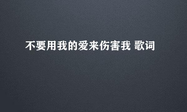 不要用我的爱来伤害我 歌词