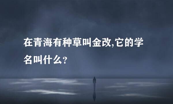 在青海有种草叫金改,它的学名叫什么？