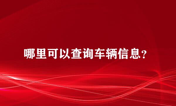 哪里可以查询车辆信息？