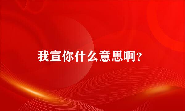 我宣你什么意思啊？