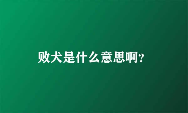 败犬是什么意思啊？