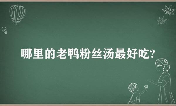 哪里的老鸭粉丝汤最好吃?