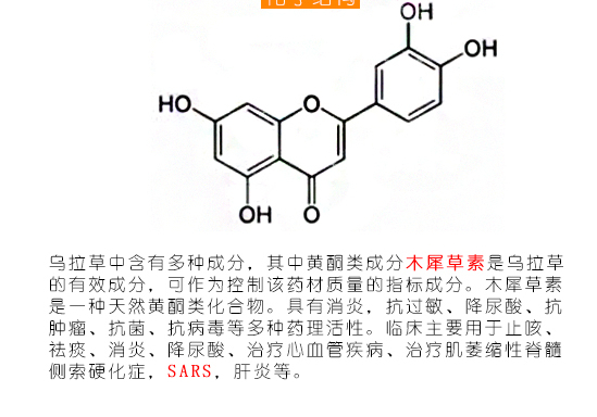 乌拉草床垫好还是山棕床垫好?