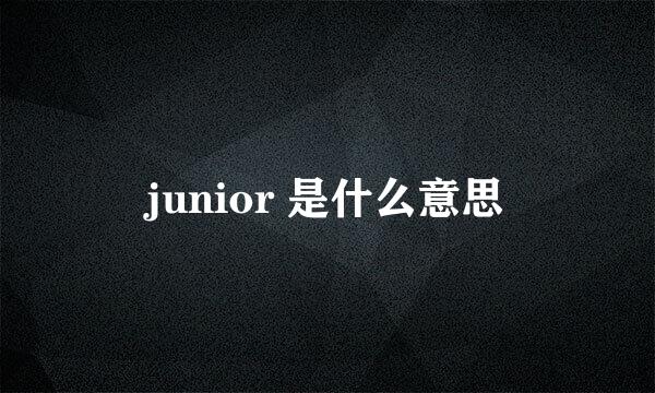 junior 是什么意思