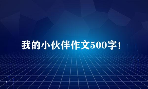 我的小伙伴作文500字！