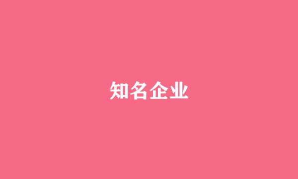 知名企业