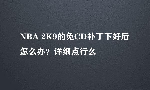 NBA 2K9的免CD补丁下好后怎么办？详细点行么