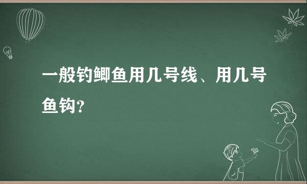 一般钓鲫鱼用几号线、用几号鱼钩？