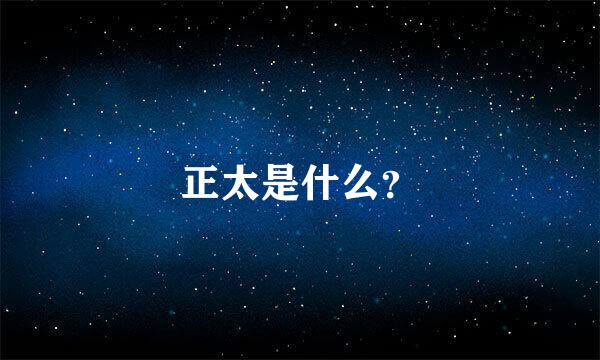 正太是什么？