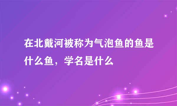 在北戴河被称为气泡鱼的鱼是什么鱼，学名是什么