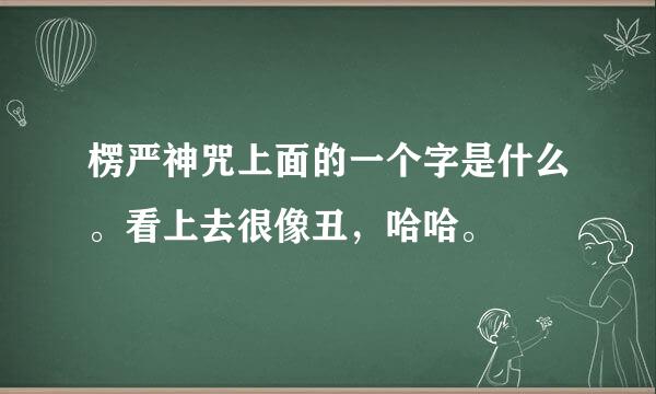 楞严神咒上面的一个字是什么。看上去很像丑，哈哈。