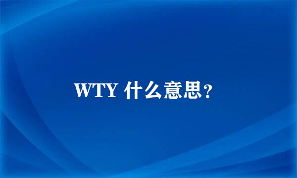 WTY 什么意思？