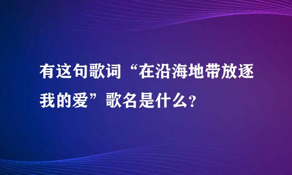 有这句歌词“在沿海地带放逐我的爱”歌名是什么？