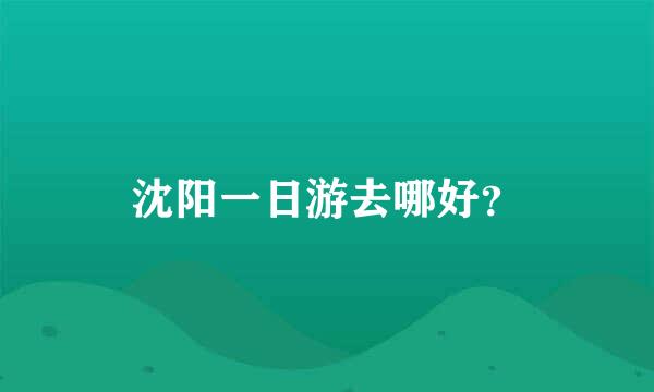 沈阳一日游去哪好？