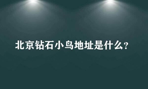 北京钻石小鸟地址是什么？