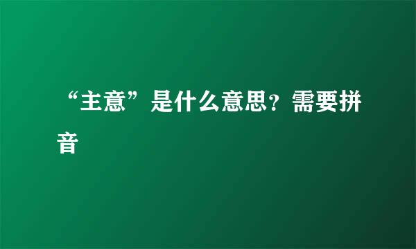 “主意”是什么意思？需要拼音