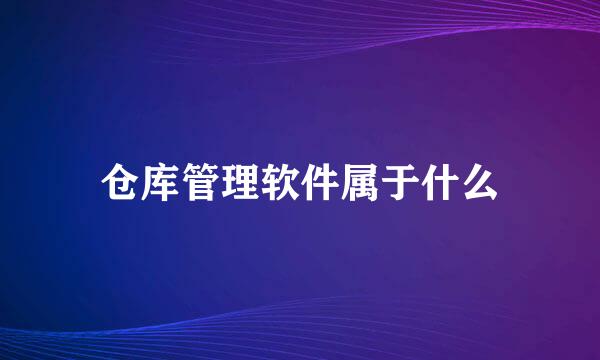 仓库管理软件属于什么