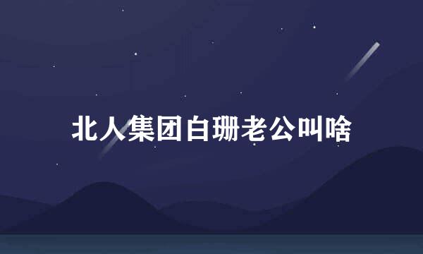 北人集团白珊老公叫啥