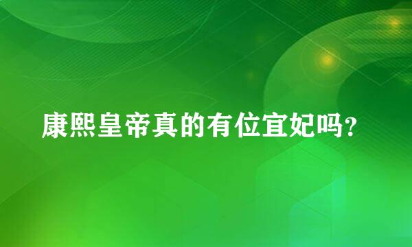 康熙皇帝真的有位宜妃吗？