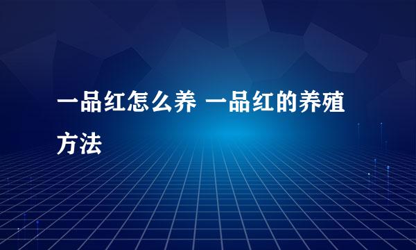 一品红怎么养 一品红的养殖方法