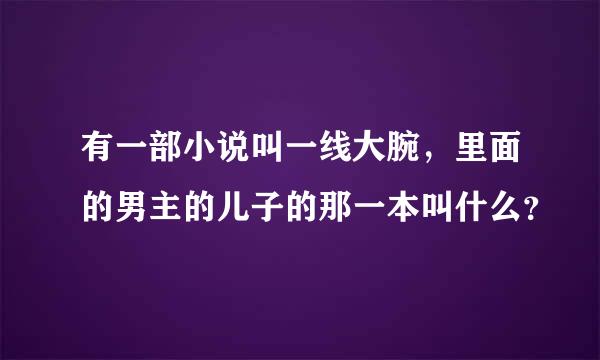 有一部小说叫一线大腕，里面的男主的儿子的那一本叫什么？