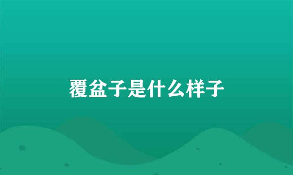 覆盆子是什么样子