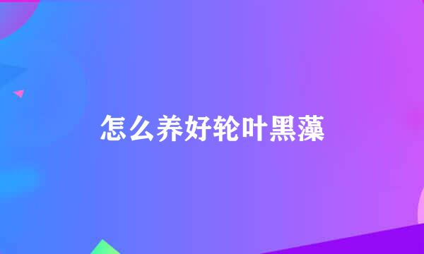 怎么养好轮叶黑藻