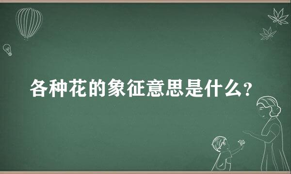 各种花的象征意思是什么？