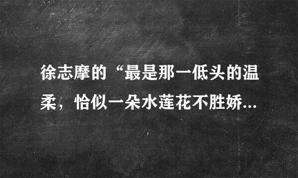 徐志摩的“最是那一低头的温柔，恰似一朵水莲花不胜娇羞……”全诗。