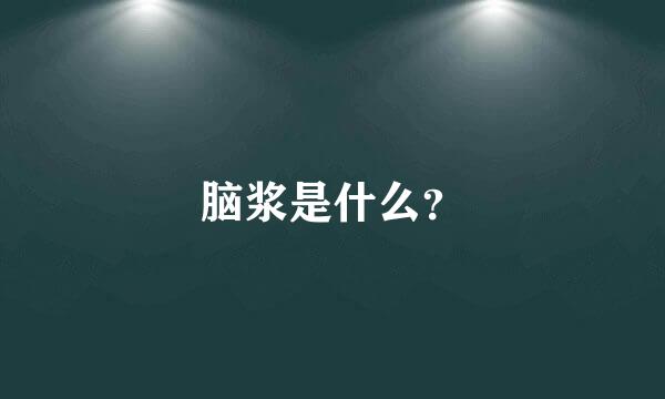 脑浆是什么？