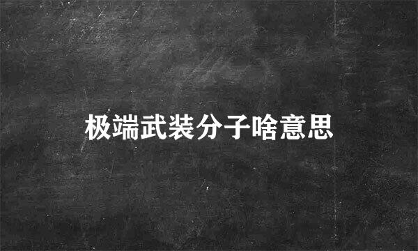 极端武装分子啥意思