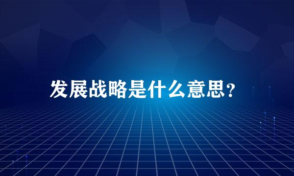 发展战略是什么意思？