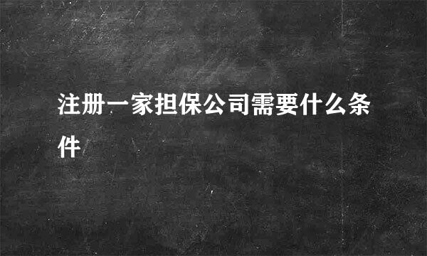 注册一家担保公司需要什么条件