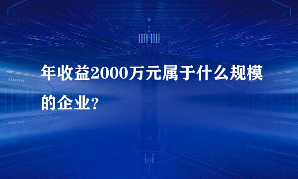 年收益2000万元属于什么规模的企业？