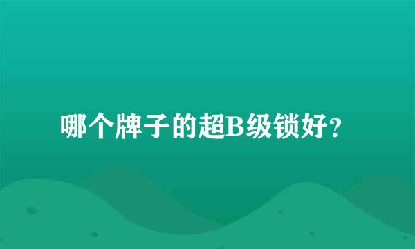 哪个牌子的超B级锁好？