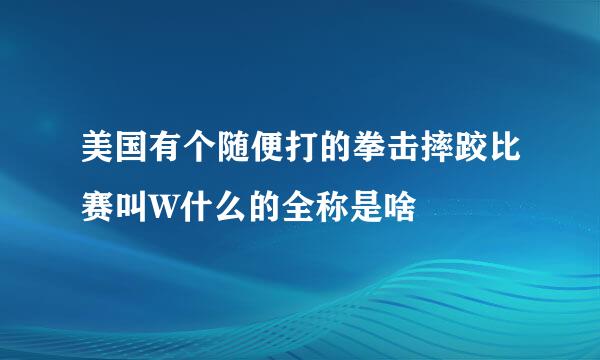 美国有个随便打的拳击摔跤比赛叫W什么的全称是啥