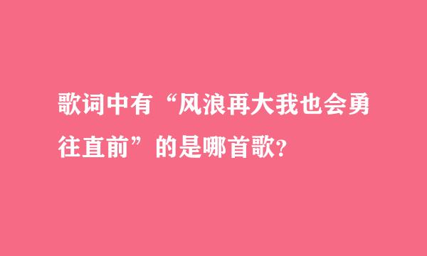 歌词中有“风浪再大我也会勇往直前”的是哪首歌？