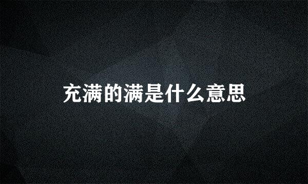 充满的满是什么意思