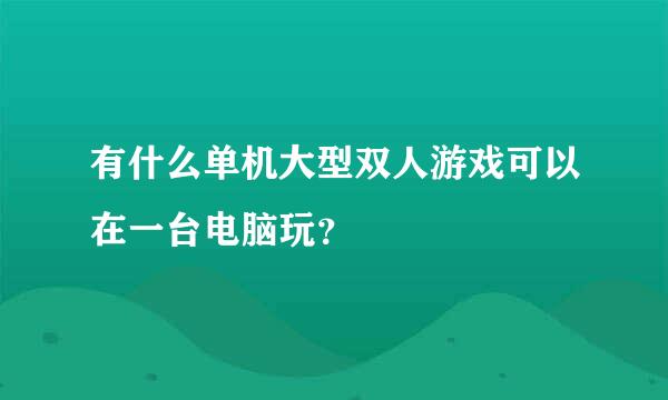 有什么单机大型双人游戏可以在一台电脑玩？