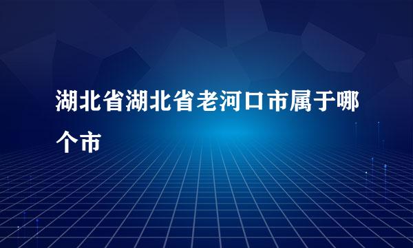 湖北省湖北省老河口市属于哪个市