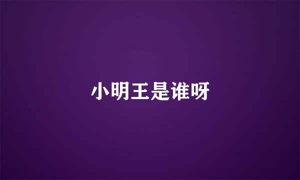 小明王是谁呀