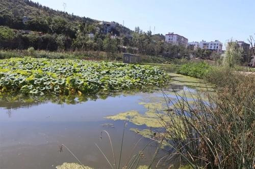 路的一边是田野 ,葱葱绿绿的,非常可爱,像一片柔软的绿毯。仿写句子