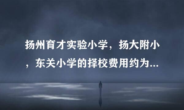 扬州育才实验小学，扬大附小，东关小学的择校费用约为多少？扬州市下面县城的户口如何报名？