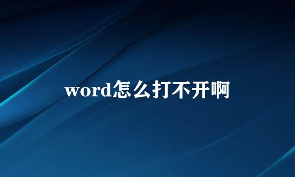 word怎么打不开啊