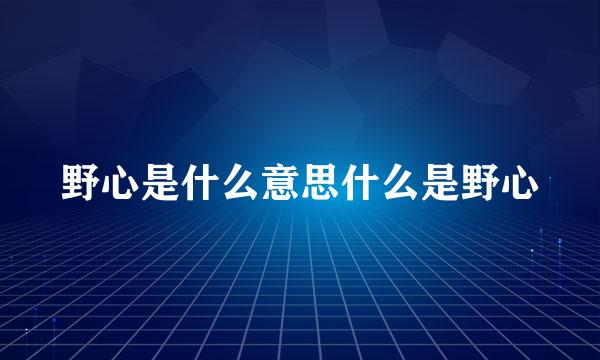 野心是什么意思什么是野心